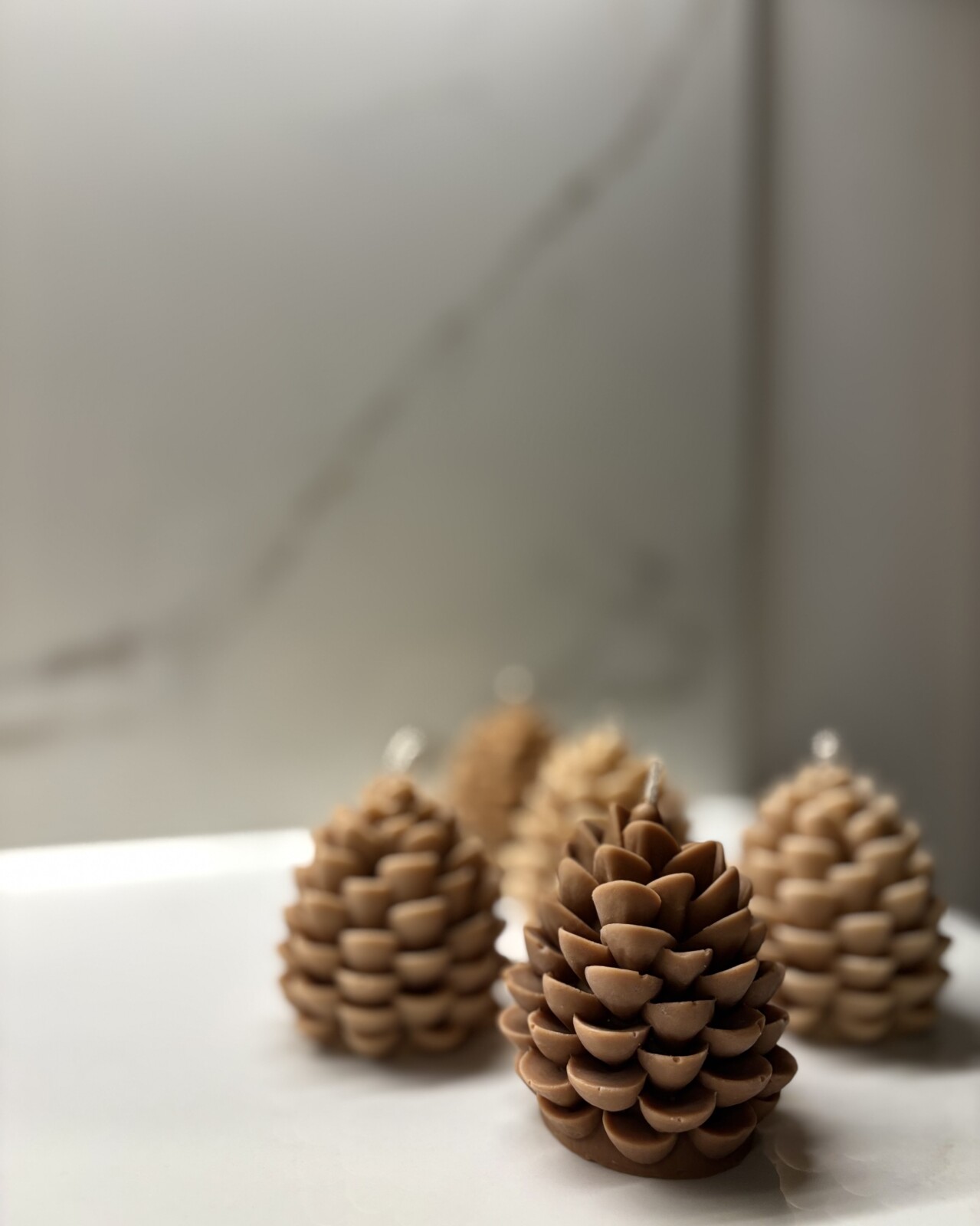 Pine Cone | Autumn Collection